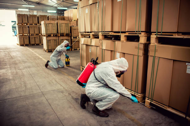 Best Affordable Pest Control Services  in Fort Madison, IA