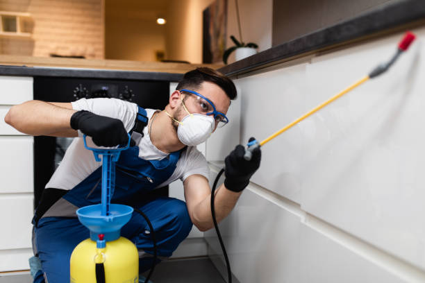 Best Ant Control Services  in Fort Madison, IA