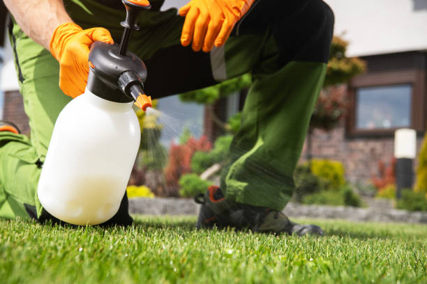 Best Bird Control  in Fort Madison, IA