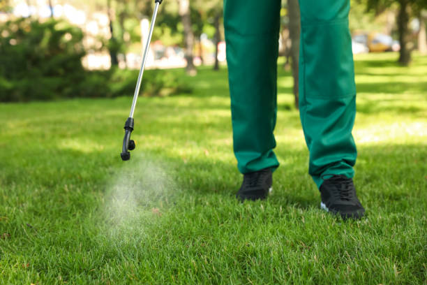 Best Flea Control Services  in Fort Madison, IA