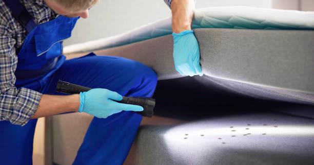 Best Pest Prevention Services  in Fort Madison, IA