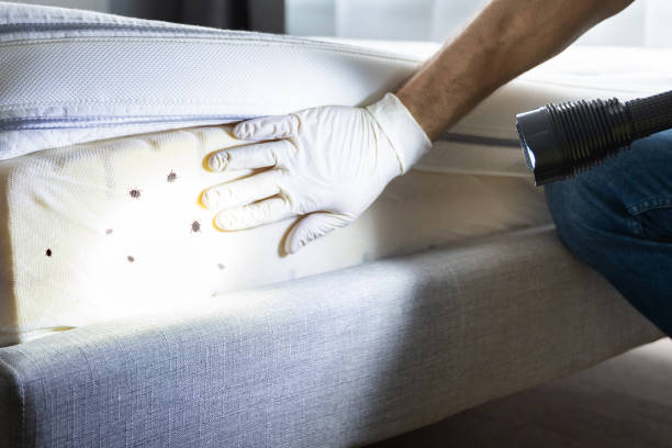 Professional Pest Control in Fort Madison, IA