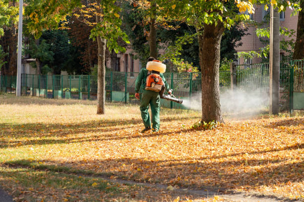 Best Wasp Removal Services  in Fort Madison, IA